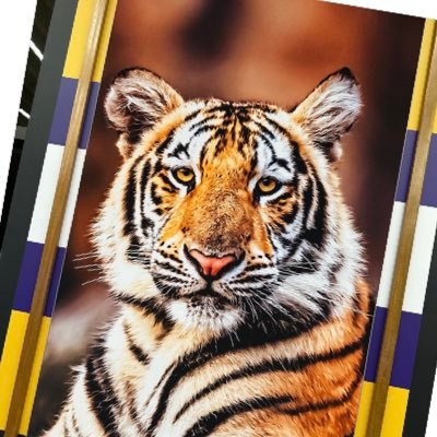 FloydBanner281's profile picture. Jailstool to the moon