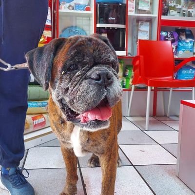 FSaettone70814's profile picture. 