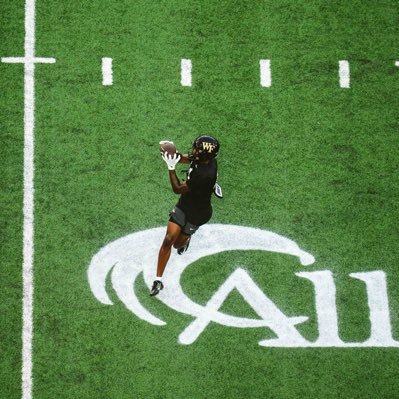 Reginald Vick Jr Profile