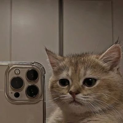 _voyager3's profile picture. AI ML DL | LoL
Living life on hard difficulty mode🎮