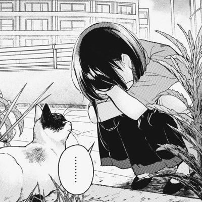 3trci's profile picture. 