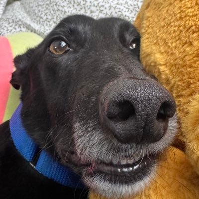 jakewaltercasa's profile picture. Mediocre takes • He/Him/His