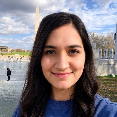 iamanupdhakal's profile picture. Software Engineer by Day | Solopreneur by Night | Live and Breathe AI | Building https://t.co/bWtWr8xGjt in public.