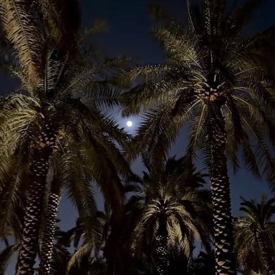 lmtheunknown's profile picture. 