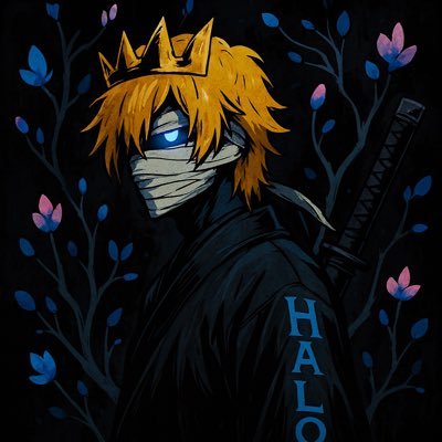 Halozlol's profile picture. | @NeverSettle2kk | @MHPA__