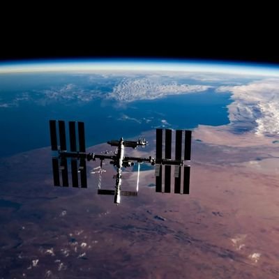 prokritiroy761's profile picture. 