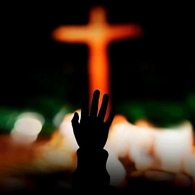 JacksonPet23985's profile picture. 