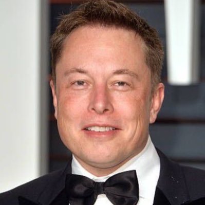 _elon_musk_t's profile picture. 