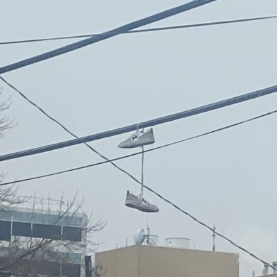 ScottRRobinson's profile picture. I think I've got a Pope Miracle and a crater.