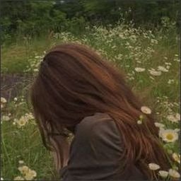 oosgm12199's profile picture. 