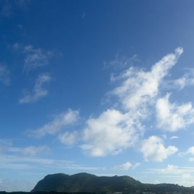 100_fergus's profile picture. . ✊🏾✊🏾✊🏾💙