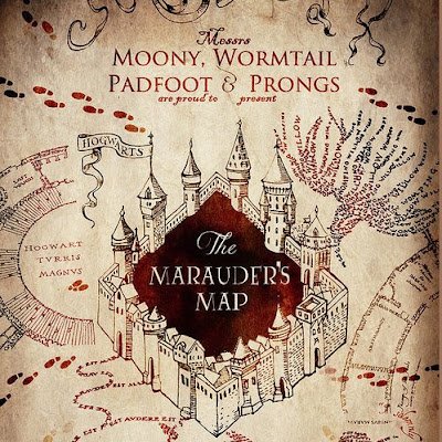 SarahKerr531563's profile picture. 