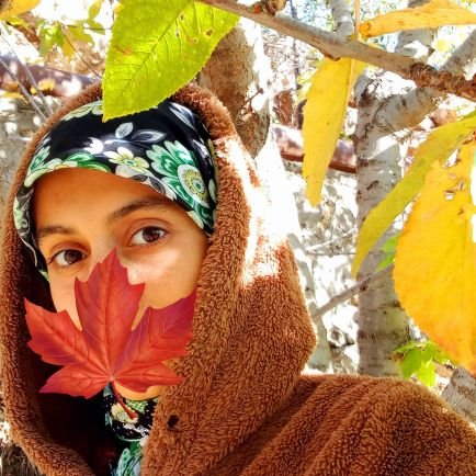 ssrslmzkrds's profile picture. elhamdülillahi âla kulli hâl