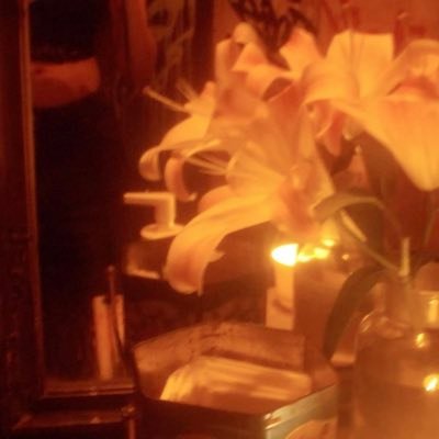 ilsli0's profile picture. moving where the light leads . FinTecher🏅