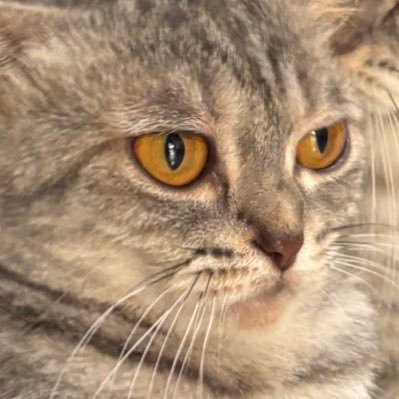 txpending's profile picture. s̵̛̗̊̐p̴̧͓͍̰͕̪̩̎́ę̷̛̺͙̲̙̞̓͛̒̓̎̈́͗̃ͅe̴͎͆d̶͎͍̯̙̞̳̥̆̃̔͝ ̴̹͊̇̅̈̉̀͜ų̶͍̗̱̺̱͍̽̕p̴͕̑