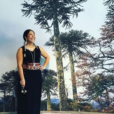 AkuchaPlateria's profile picture. Yo Orgullosa Mujer Mapuche