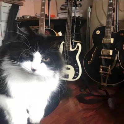 Yupeiting666's profile picture. 