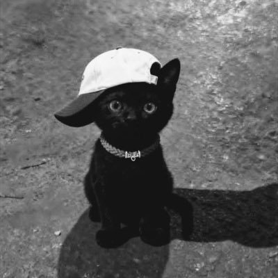 DuhVera_'s profile picture. 