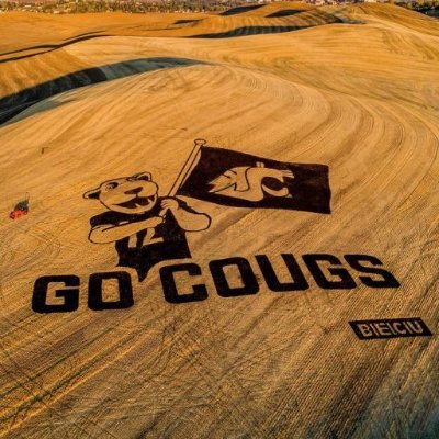 wsubrady27's profile picture. Accountant. Sports fanatic. Nothing more pure than a Klay Thompson jumper. 

#GoCougs #RIP3 #RIP26