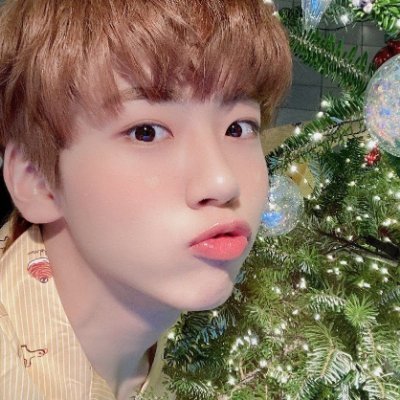 woognki's profile picture. 
