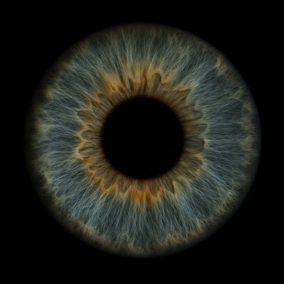 Baltimore_59's profile picture. 