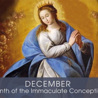 damiandonnelly's profile picture. Views are own, RTs not endorsements.