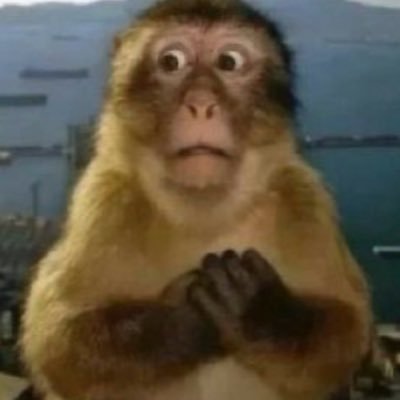 ScriptEddin's profile picture. ✍🏼💸🏴