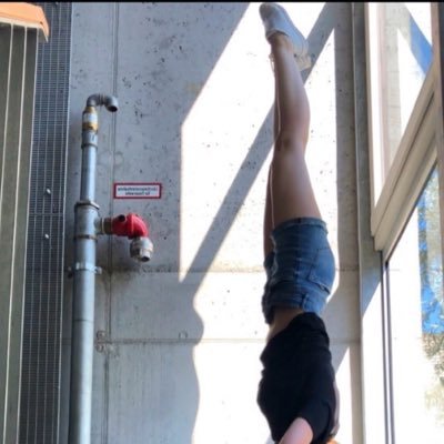 Isbjrn98's profile picture. 