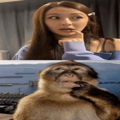 cocowithri's profile picture. de que me sirve esta info gorda de mierda acc y misandrica