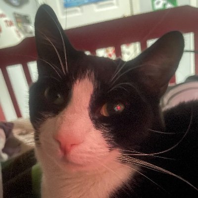 DGutterbal05's profile picture. 