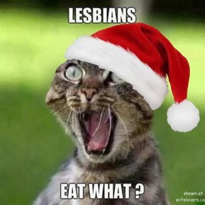 Mrterrazzo's profile picture. Born In Caracas raised Jewban (Jewish/Cuban) from Miami Beach! Living the dream in Costa Rica. Help me open an animal rescue.