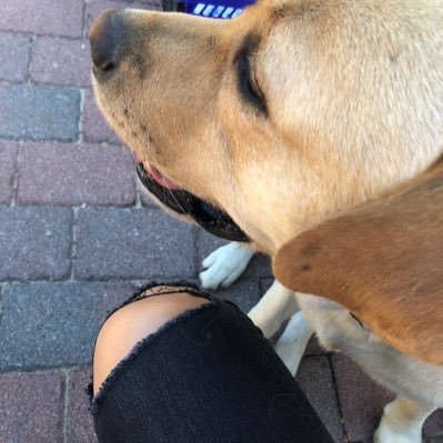 ATAKIZ__'s profile picture. ATATÜRK 🇹🇷Kahrolsun istibdat, yaşasın hürriyet” 🇹🇷𐱅𐰼𐰇𐰰🇹🇷Burada Atatürkçü Cumhuriyetçi Vatansever bir Türk var! #KEMALİST 🇹🇷͜͜͡͡✯