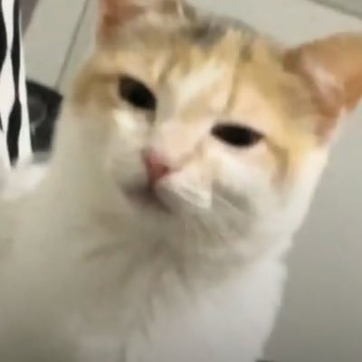 szmarijc's profile picture. 