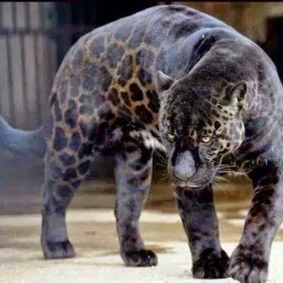 xoxe66386's profile picture. 