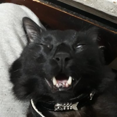 lolmerciless's profile picture. mid laner for @Teamheretics. Contact:@DarthYellow_lol