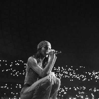 lolardoh's profile picture. meh