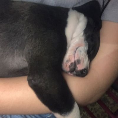 gretinhalim4's profile picture. São Jorge rogai pelo Corinthians