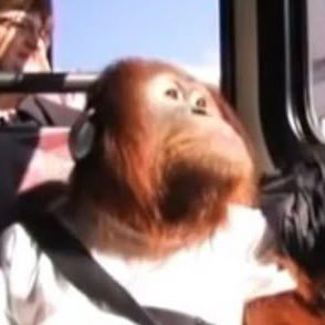 mkdirDawg's profile picture. 