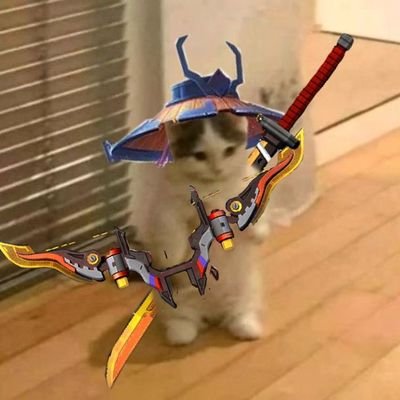 DRISHIGAMI10's profile picture. CFO/TSW/VKS/MKOI | mtg/tft enthusiast | griffin boys and knight fan | DWG21/OMG23/JDG23/AL25-26/FS25/GENG25/BLG26 | TLPH25/SRG25 mlbb fan | KPL and WOLVES25 fan