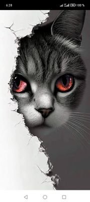 humbertoVi53665's profile picture. 