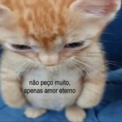 braga1luis1's profile picture. -Liberal
-Consultor de Riscos e Segurança
-MBA em Inteligência e Gestão de Segurança
-Medium: https://t.co/Aklqd2jUeh