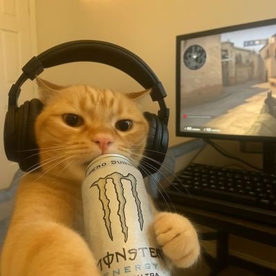 codexweeb's profile picture. Turning curiosity into code and code into intelligence.