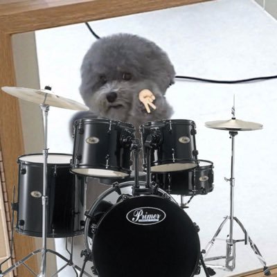 flexaligned's profile picture. i do music and work a tech job for the money