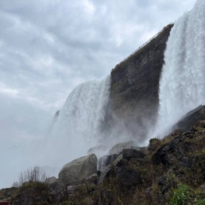 Emily33Johnson's profile picture. America First, above all else.