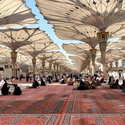 sahabanous's profile picture. 