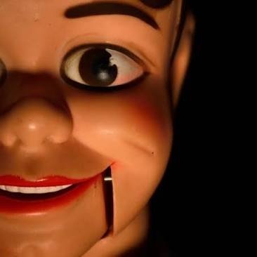 drksoul19550's profile picture. DEMOCRAT. ANTI-TRUMP. ANTI-MAGA. PRO ANTIFA. ANTI-ISRAEL. FREE PALESTINE. 
FUCK AMERICAN & ISRAELI NAZIS.