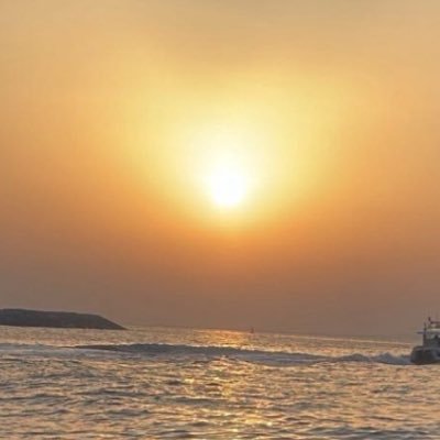 xzwydx's profile picture. {☠︎︎}