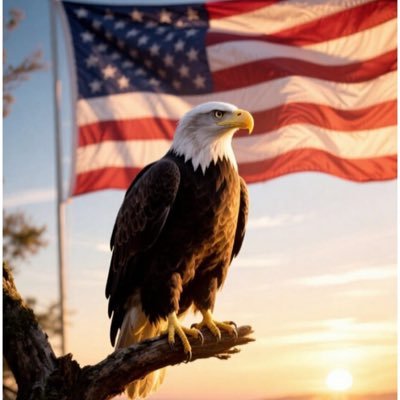 HendrixBernie's profile picture. 