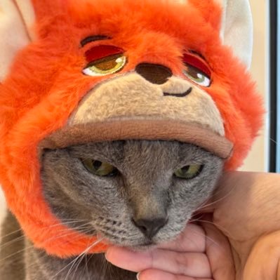 chimney_honey's profile picture. มีแมวห้าตัว ขายของบ้างบางเวลาที่ตังหมด