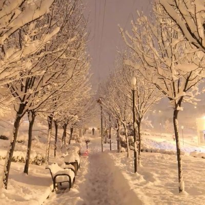 aliasgh22866314's profile picture. bitcoin
The future is ours